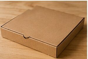 ¿Puedes poner una caja de pizza en el horno?
