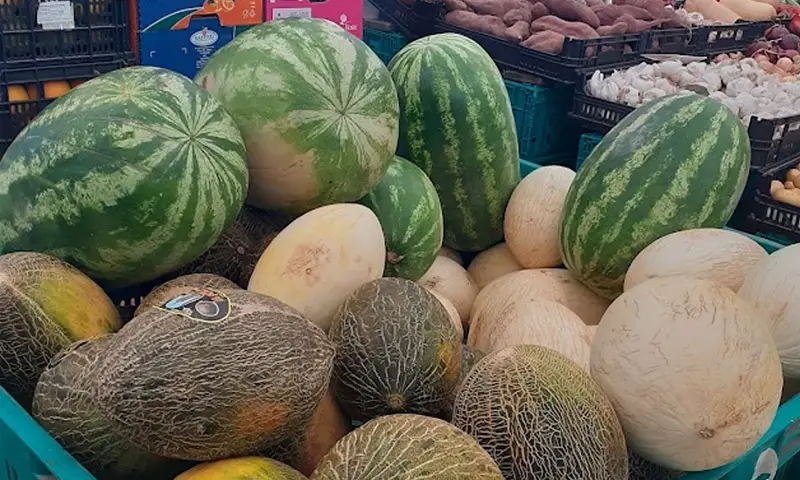 Frutas