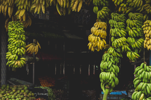 ¿Cómo evitar que los plátanos verdes maduren?