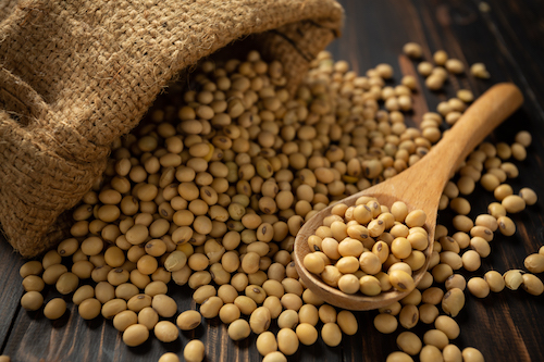 ¿Se puede hacer miso sin soja?